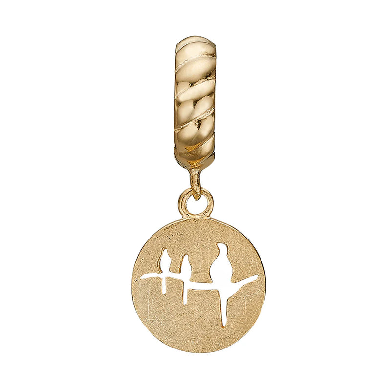 Christina Jewelry Care Charm - Forgyldt