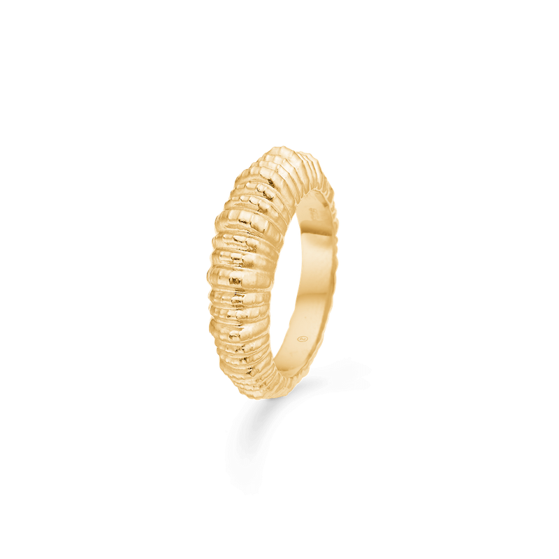 Studio Z Seashell Secrets ring i forgyldt