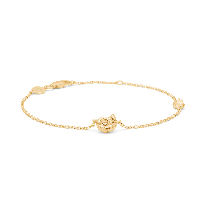 Studio Z Seashell Secrets armbånd i forgyldt