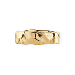 Stor Banket Ring ⎮ Forgyldt