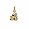 Letter Puffer Charms ⎮ Forgyldt