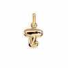 Letter Puffer Charms ⎮ Forgyldt