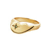 Shiny BFF Sparkly ring ⎮ Forgyldt