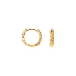 Lille Sparkly Hoops ⎮ Forgyldt