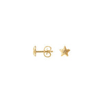 Sparkly Star øreringe ⎮ Forgyldt