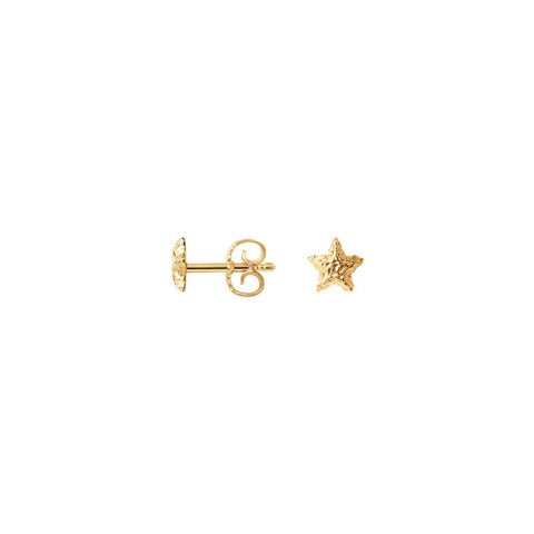 Sparkly Star øreringe ⎮ Forgyldt