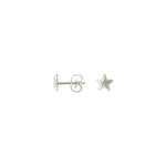Sparkly Star øreringe ⎮ Sølv