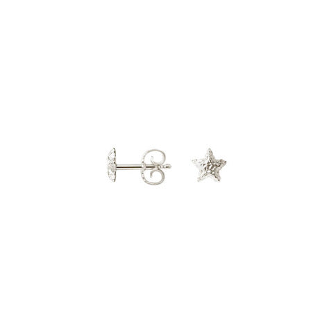 Sparkly Star øreringe ⎮ Sølv