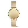 Daniel Wellington Petite mirror, forgyldt - 28 mm.