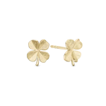 Christina Jewelry - Four leaf clower øreringe i forgyldt 671-G99