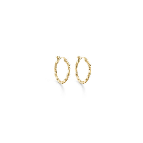 Studio Z Truth Hoops I Forgyldt - 8210351